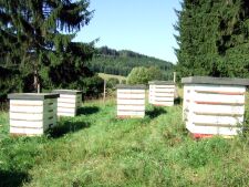 včelí farma Rokytník - včelí úly