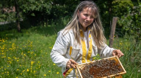 Chovy včelích matek